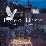 Hotel Schuster Boarding House 3*