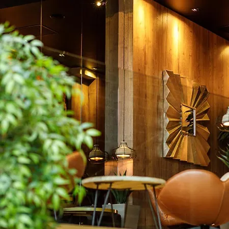 Schuster Boarding House 布拉索夫