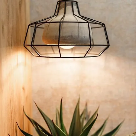 Schuster Boarding House 3* ブラショフ