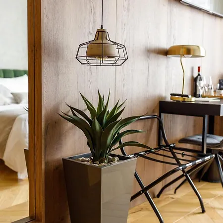 Schuster Boarding House ホテル ブラショフ