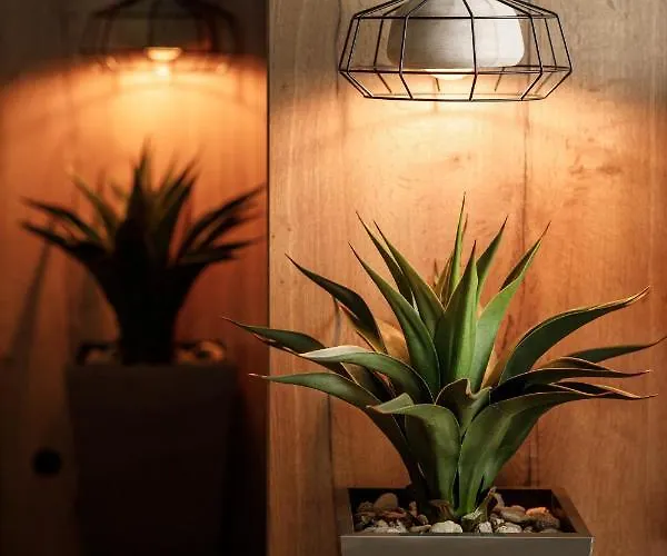 Hotel Schuster Boarding House 3*