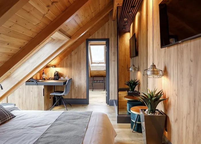 Schuster Boarding House 3* 布拉索夫