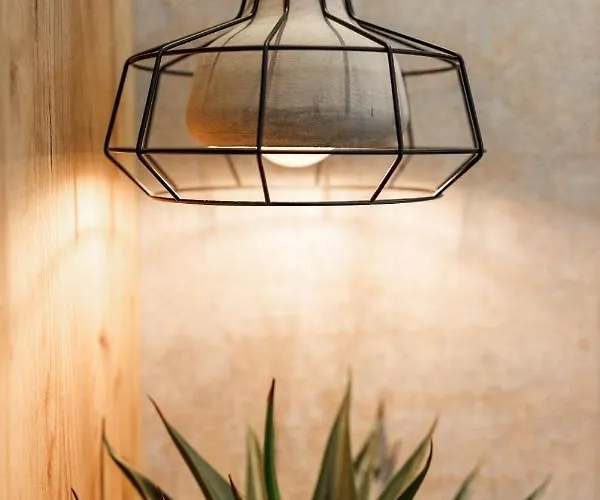 Schuster Boarding House 3* Braşov